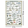 Freshwater Fish Kunstdruck Süsswasserfische