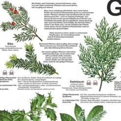 Giftpflanzen Poster deutsch DIN A1