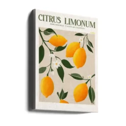 Golden Citrus Delight