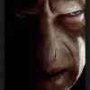 Harry Potter 3D Poster Harry VS Voldemort