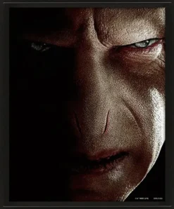 Harry Potter 3D Poster Harry VS Voldemort