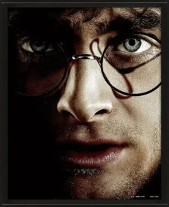 Harry Potter 3D Poster Harry VS Voldemort