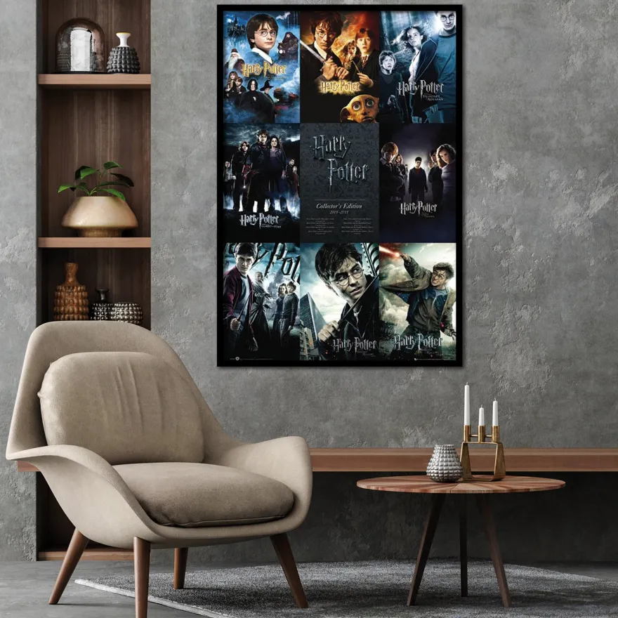 Harry Potter Poster Collector's Edition 2001-2011