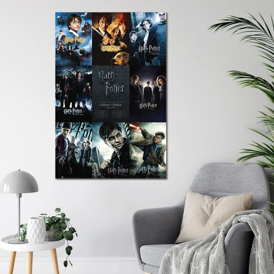 Harry Potter Poster Collector's Edition 2001-2011