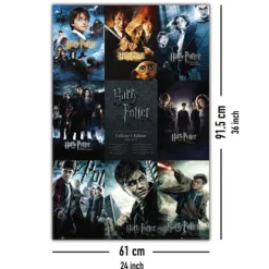 Harry Potter Poster Collector's Edition 2001-2011