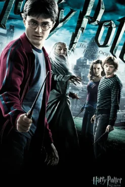 Harry Potter Poster 8er-Set Filmposter 1-8