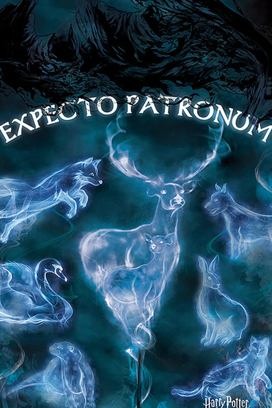 Harry Potter Poster Expecto Patronus