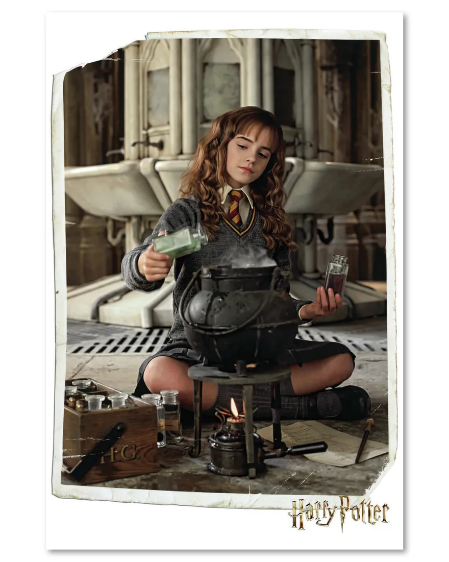 Harry Potter Poster Hermine