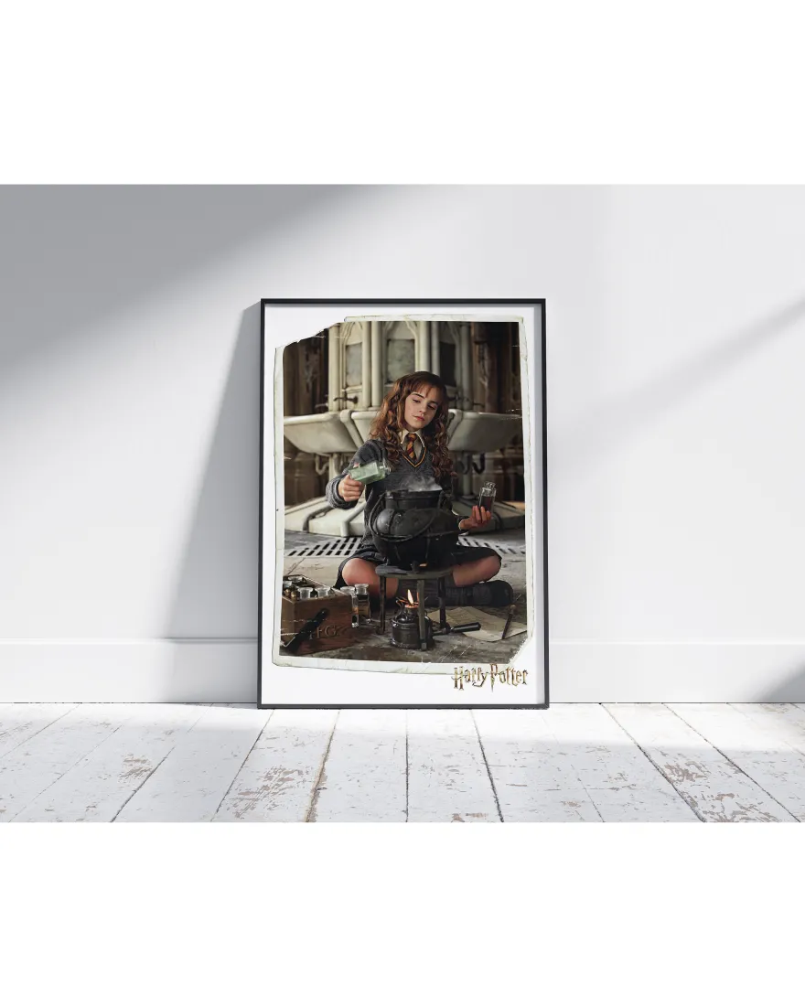 Harry Potter Poster Hermine