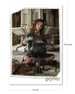 Harry Potter Poster Hermine