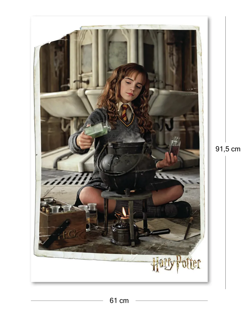 Harry Potter Poster Hermine