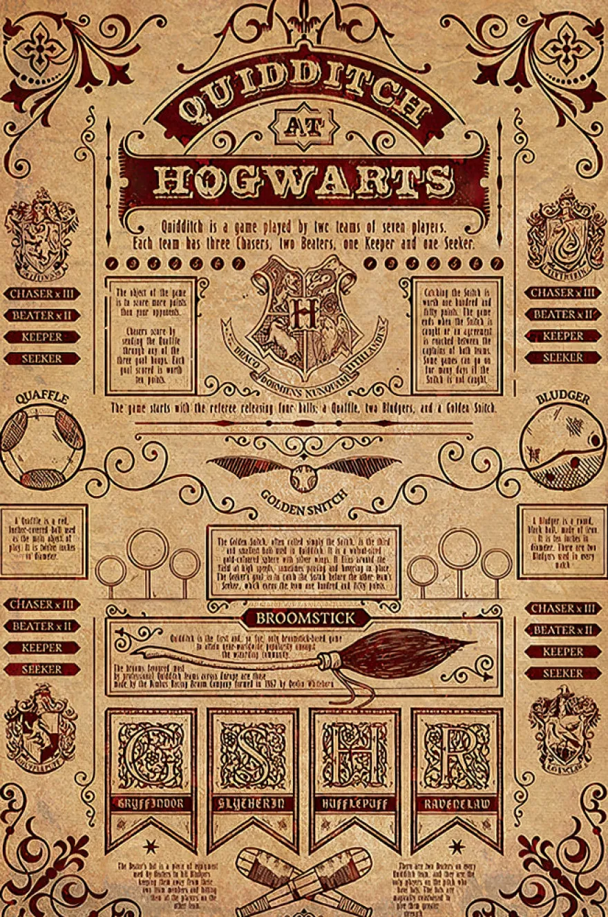 Harry Potter Poster Quidditch at Hogwarts