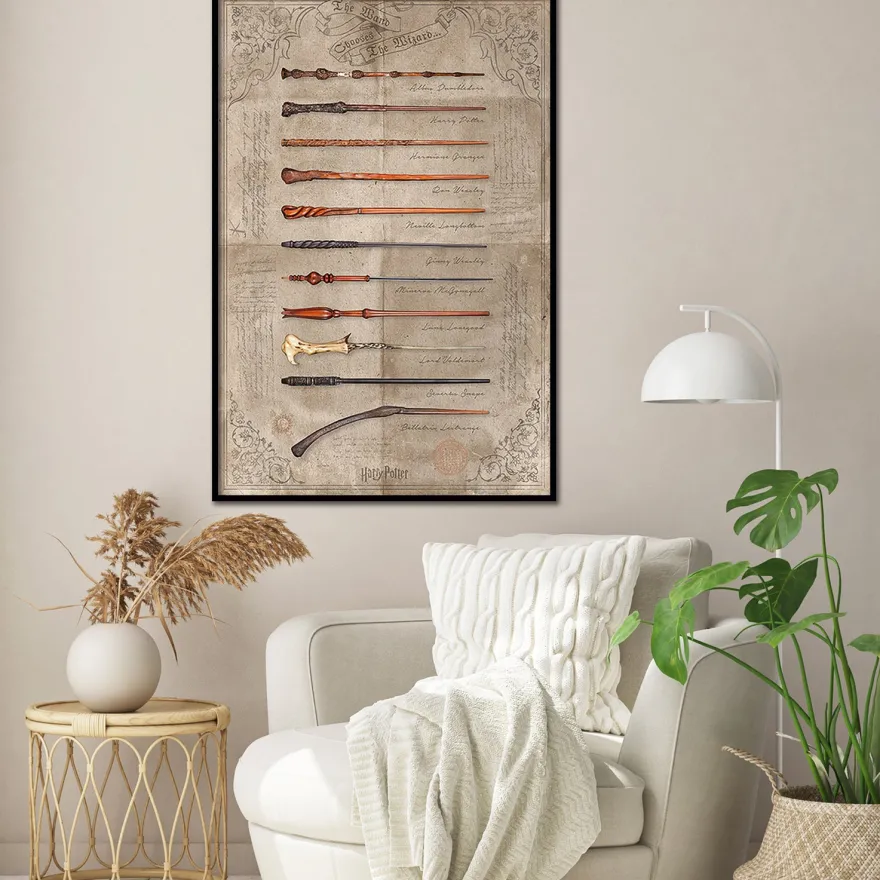 Harry Potter Poster The Wand Chooses The Wizard