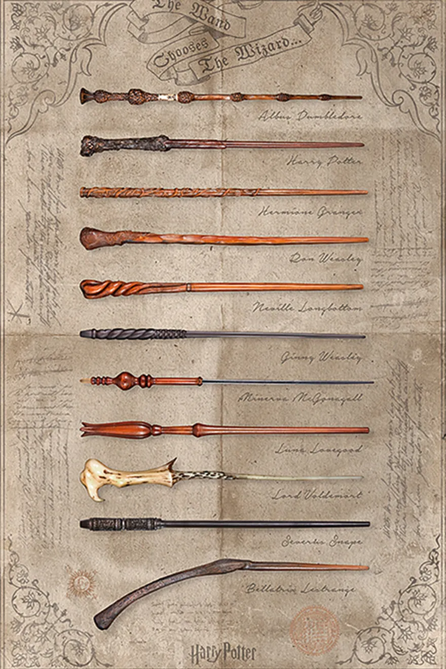 Harry Potter Poster The Wand Chooses The Wizard