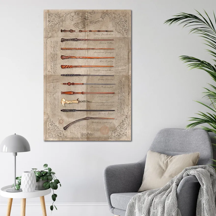 Harry Potter Poster The Wand Chooses The Wizard
