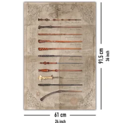 Harry Potter Poster The Wand Chooses The Wizard