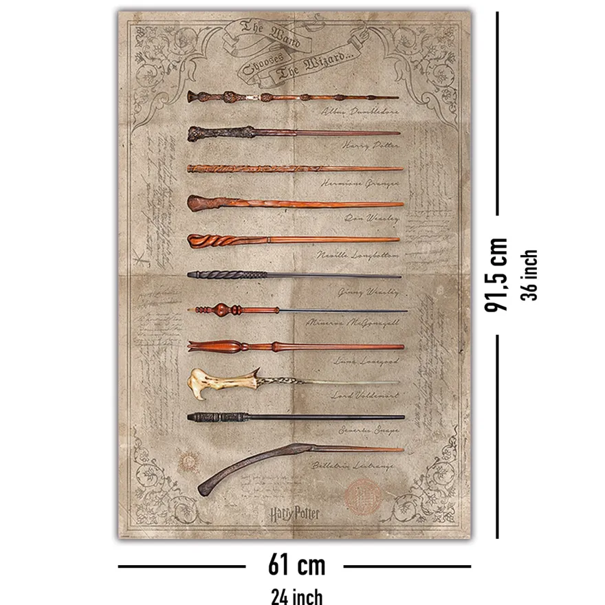 Harry Potter Poster The Wand Chooses The Wizard