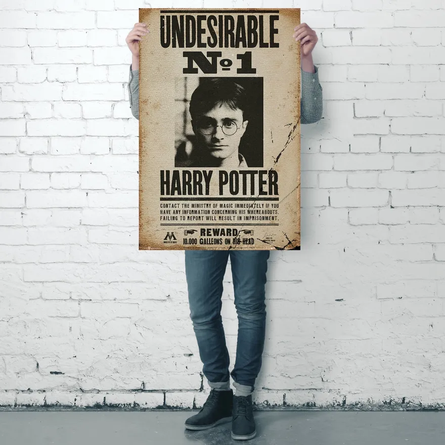 Harry Potter Poster Undesirable No. 1