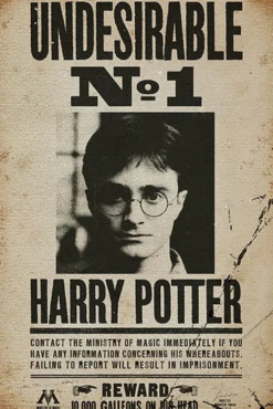 Harry Potter Poster Undesirable No. 1