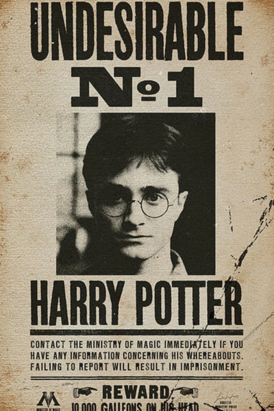 Harry Potter Poster Undesirable No. 1