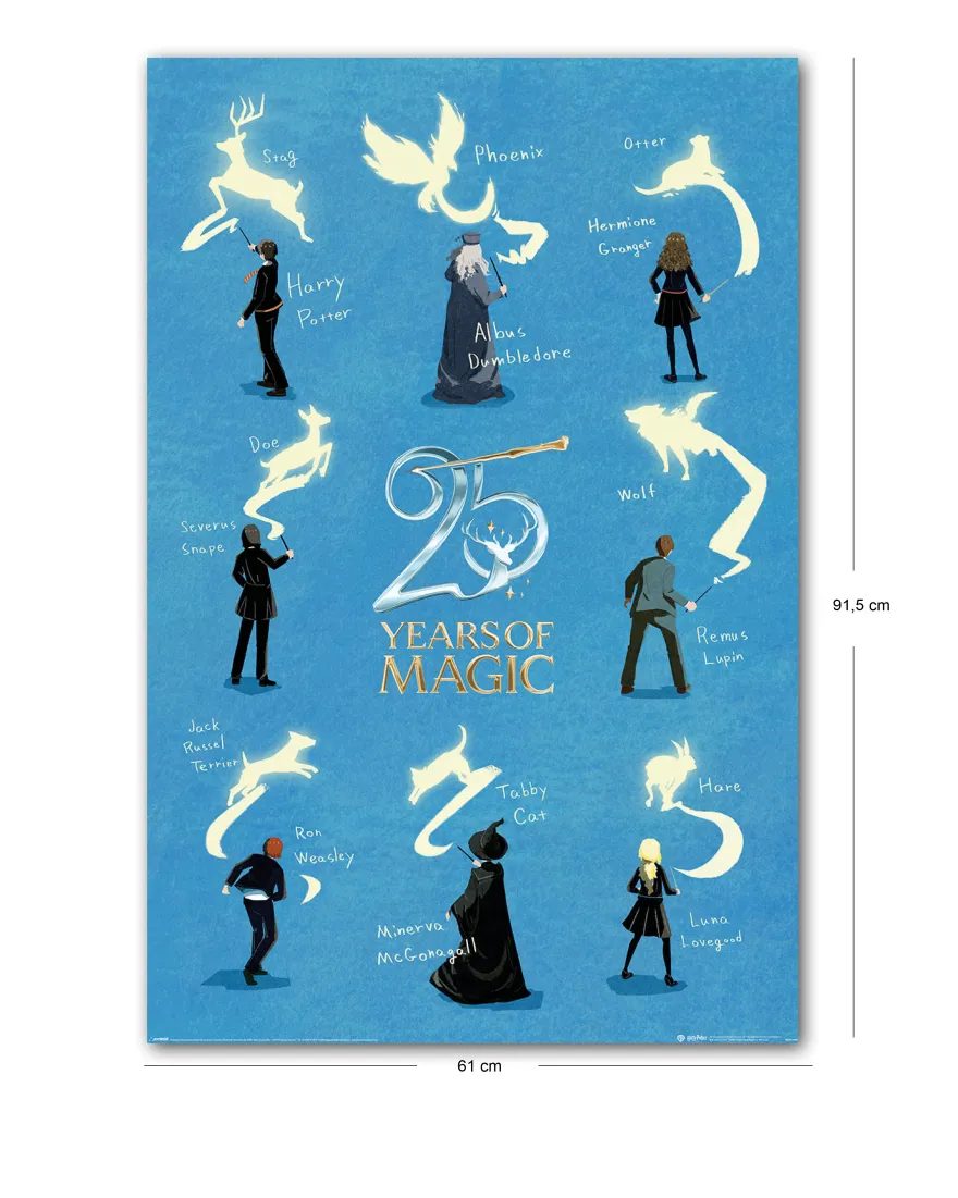 Harry Potter Poster 25 Years Of Magic, Characters
