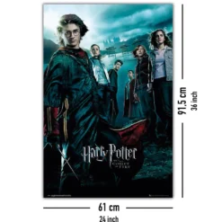 Harry Potter und der Feuerkelch Poster
