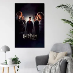 Harry Potter und der Orden des Phönix Poster