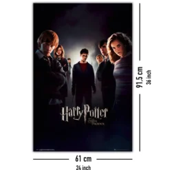Harry Potter und der Orden des Phönix Poster