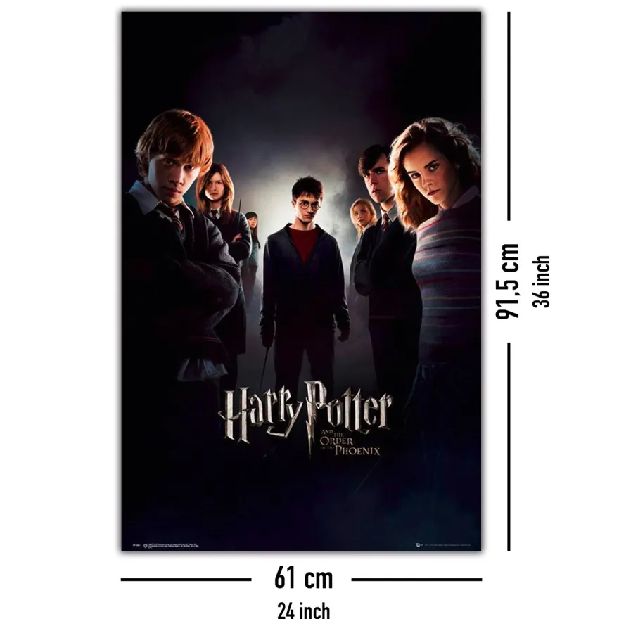 Harry Potter und der Orden des Phönix Poster