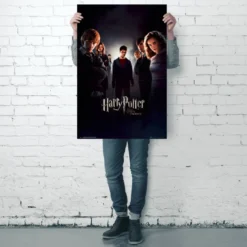 Harry Potter und der Orden des Phönix Poster