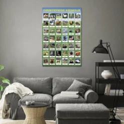 Heimische Tierarten Poster