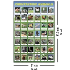 Heimische Tierarten Poster