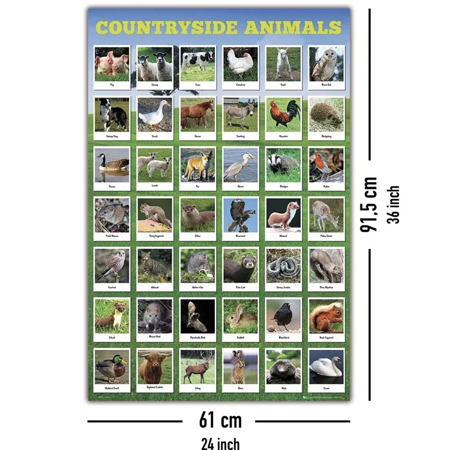 Heimische Tierarten Poster