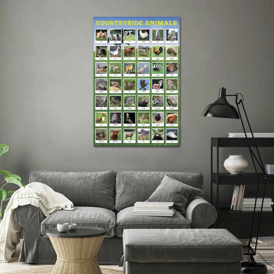 Heimische Tierarten Poster