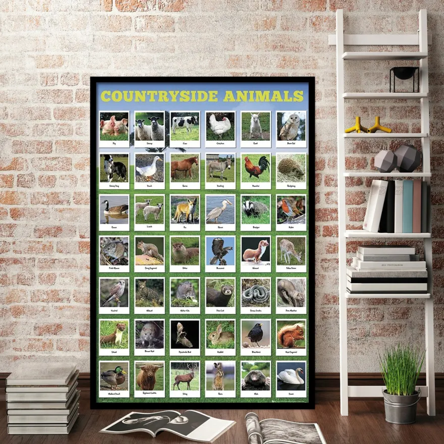 Heimische Tierarten Poster