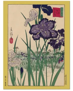 Hiroshige Kunstdruck | Irises At Horikiri In Tokyo | 30x40 cm