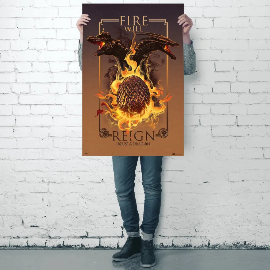 House Of The Dragon Poster Fire Will Reign