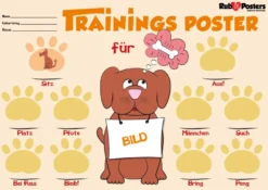 Hundetraining Rubbel-Poster