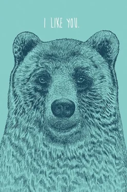 I Like You Bear Poster Rachel Caldwell