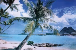 Insel Bora Bora Poster Strand