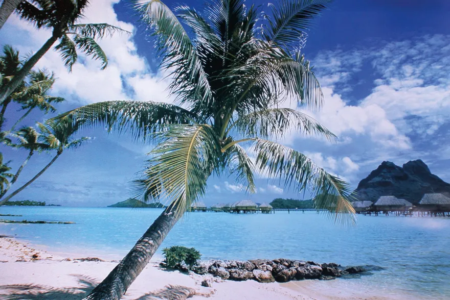 Insel Bora Bora Poster Strand