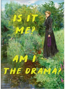 Is It Me? Am I The Drama?