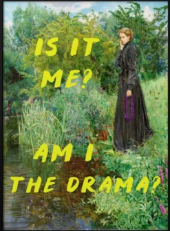 Is It Me? Am I The Drama?