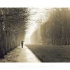 Jardin De Versailles Poster
