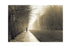Jardin De Versailles Poster