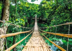 Jungle Bridge Poster