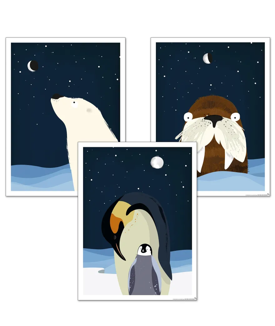 Kinderzimmer Poster Polar 3er-Set