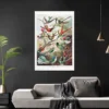 Kolibris Poster Ernst Haeckel Kunstformen der Natur,Tafel 99
