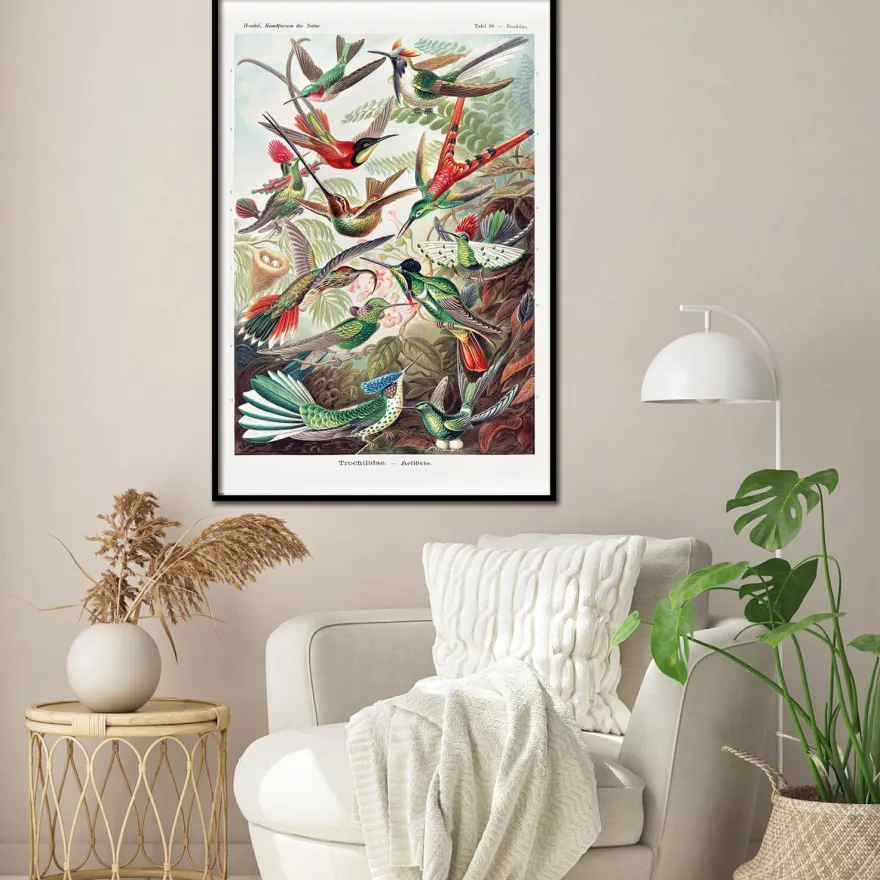 Kolibris Poster Ernst Haeckel Kunstformen der Natur,Tafel 99