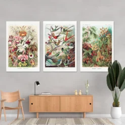 Kunstformen der Natur Poster 3er-Set Ernst Haeckel